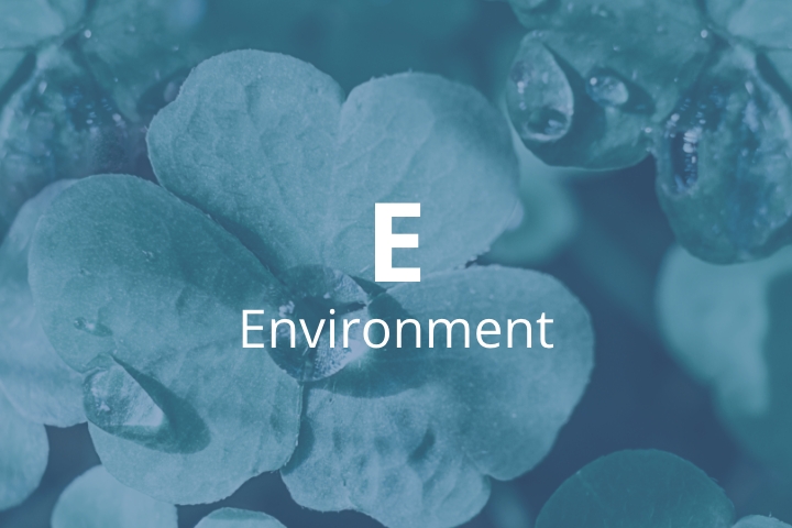 “E” Environment